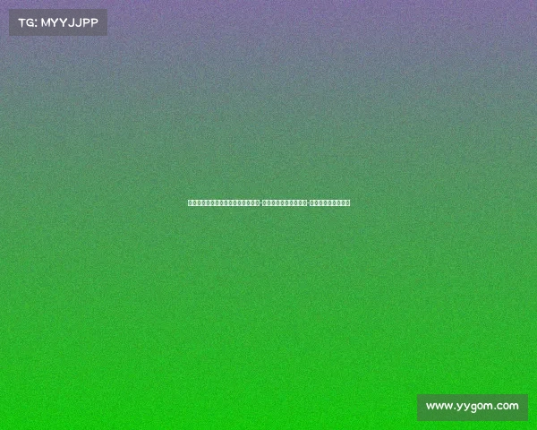 迈阿密热火队的崛起与挑战：从大卫-韦德时代到新星扎伊尔-威廉姆斯的崭新篇章